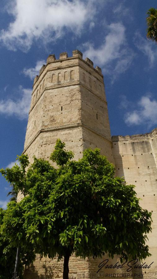Sherry House Holiday home Jerez de la Frontera